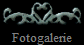 Fotogalerie