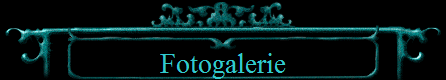 Fotogalerie