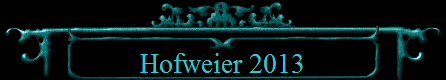 Hofweier 2013