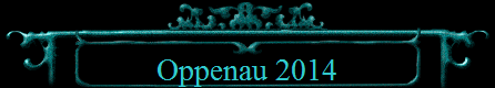 Oppenau 2014