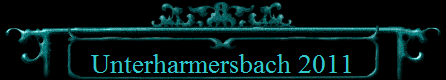 Unterharmersbach 2011